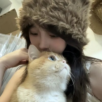 公猫